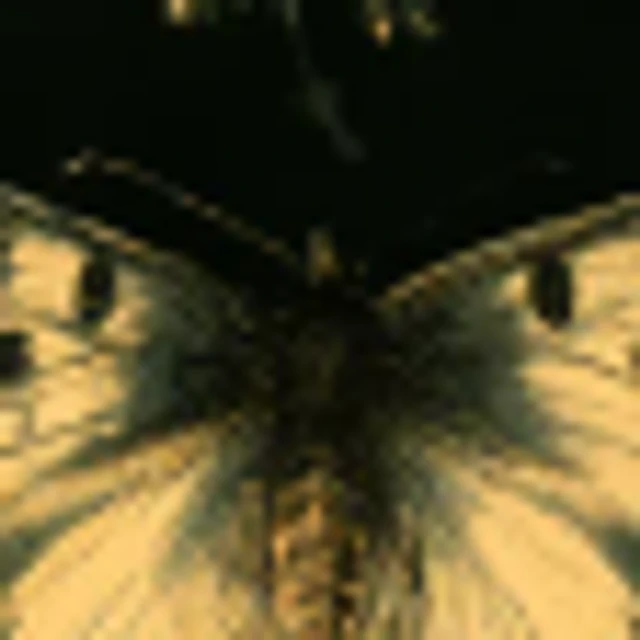 256 px, zoomed in: blurry
